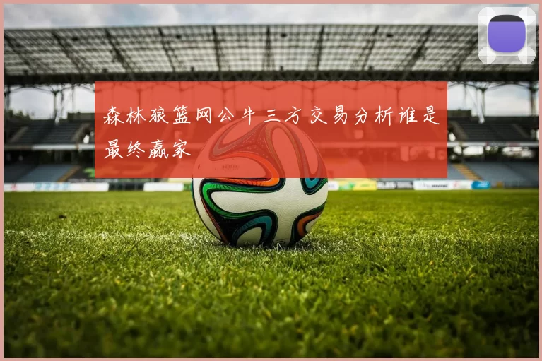 森林狼篮网公牛三方交易分析谁是最终赢家